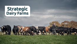 Derbyshire: Optimising soil nutrition - What’s in it for me?